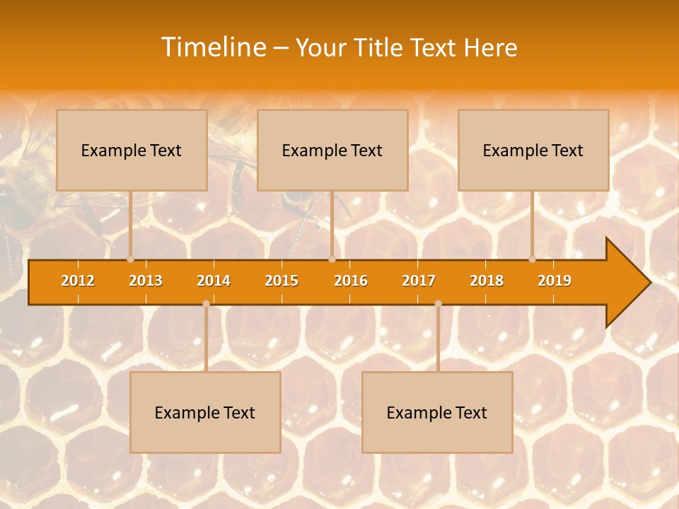 Two Bees On A Honeycomb Powerpoint Template PowerPoint Template