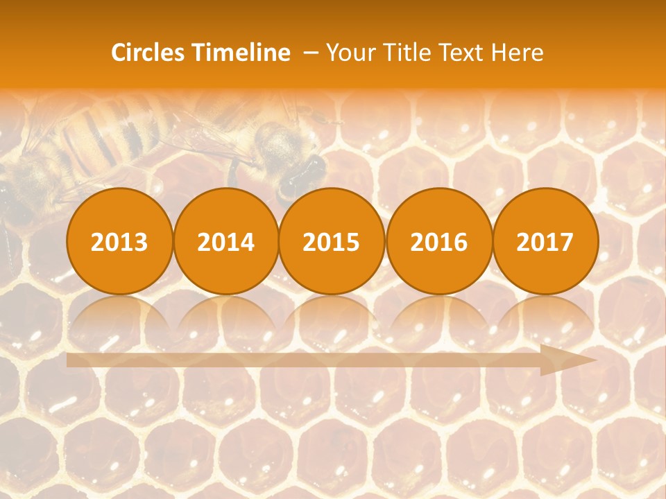 Two Bees On A Honeycomb Powerpoint Template PowerPoint Template