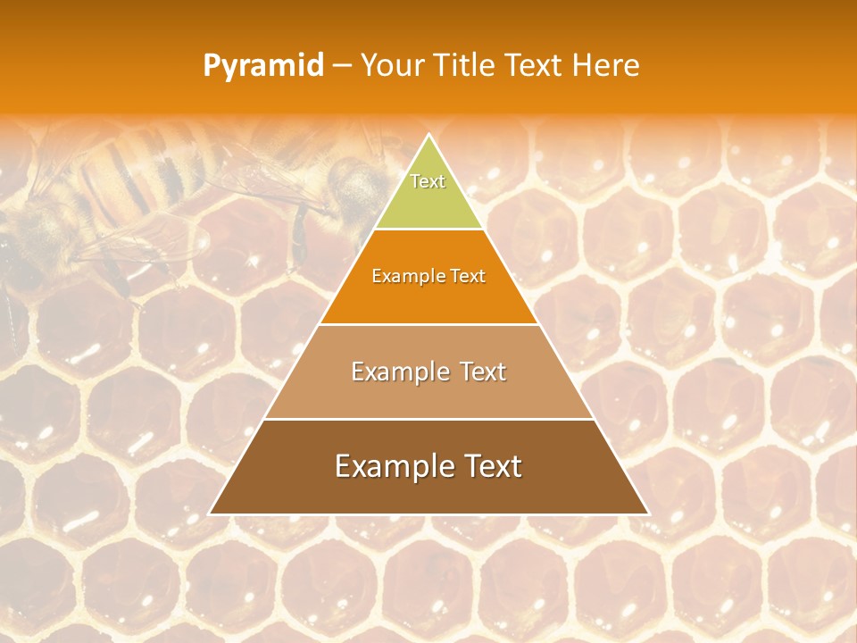 Two Bees On A Honeycomb Powerpoint Template PowerPoint Template