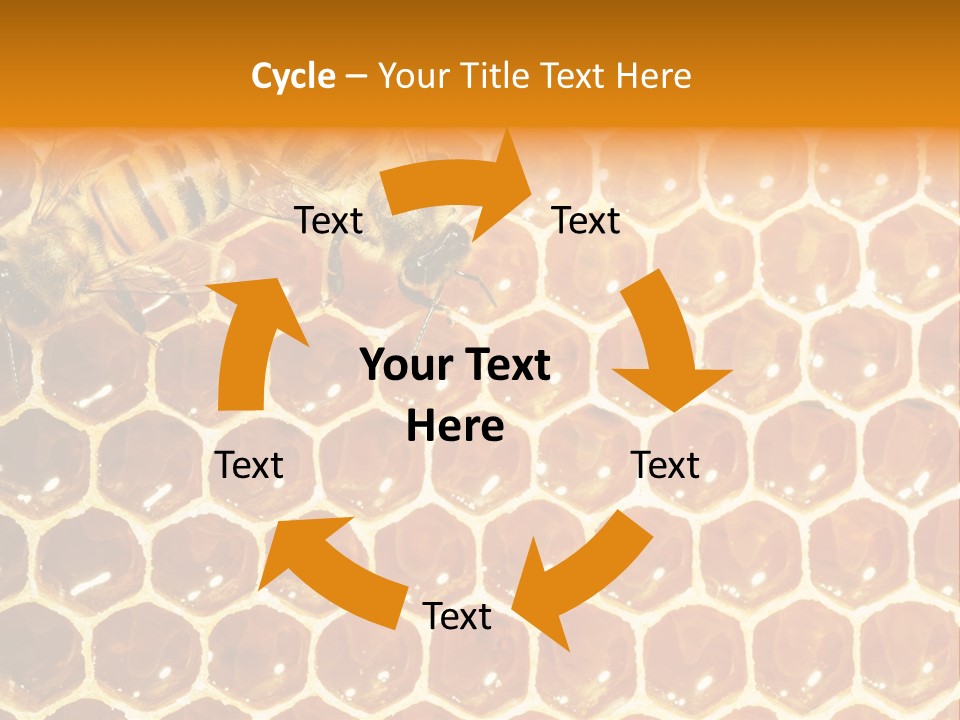 Two Bees On A Honeycomb Powerpoint Template PowerPoint Template