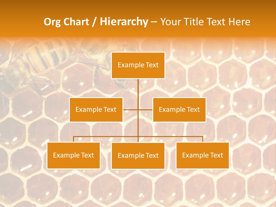 Two Bees On A Honeycomb Powerpoint Template PowerPoint Template