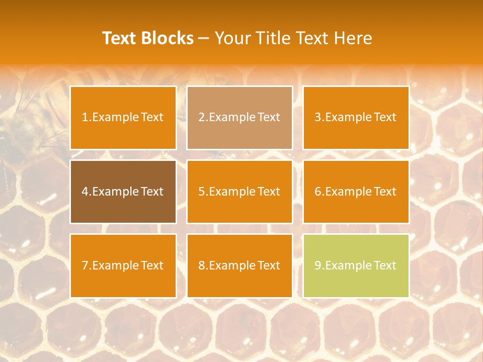 Two Bees On A Honeycomb Powerpoint Template PowerPoint Template