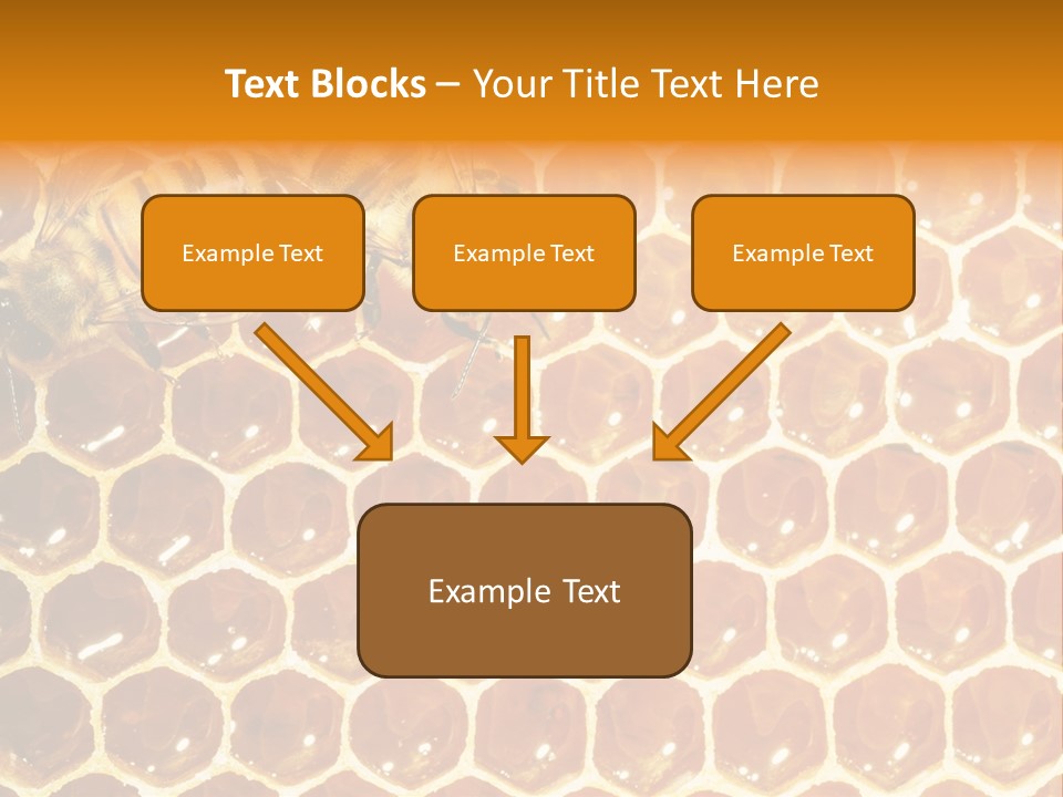 Two Bees On A Honeycomb Powerpoint Template PowerPoint Template