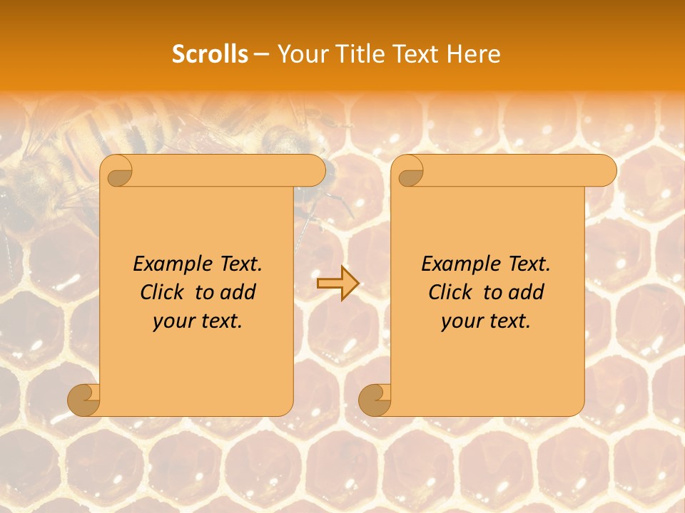 Two Bees On A Honeycomb Powerpoint Template PowerPoint Template