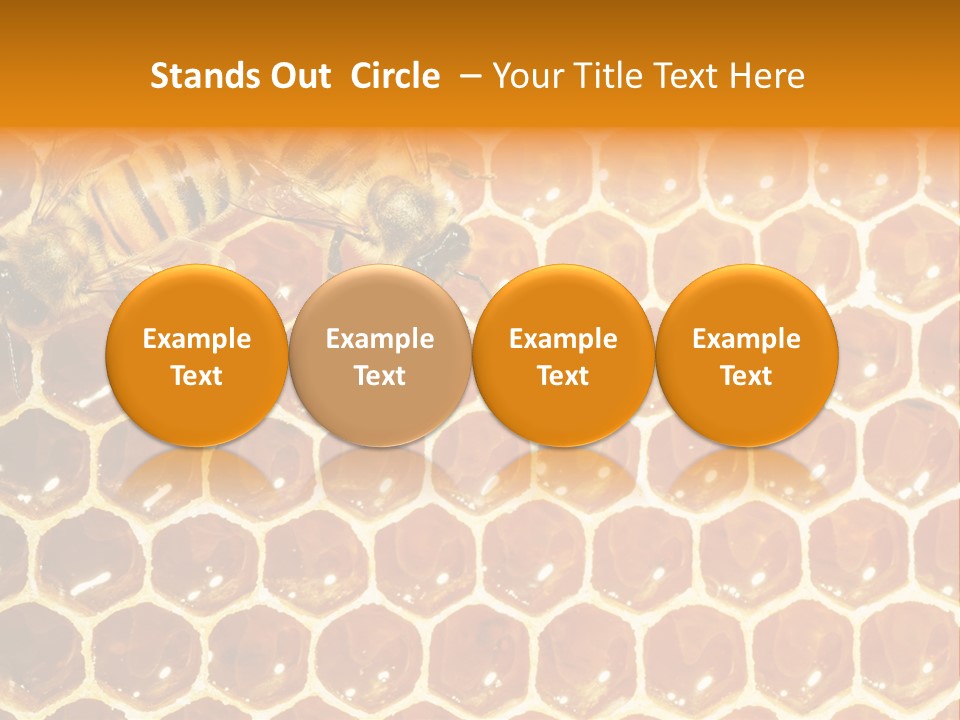Two Bees On A Honeycomb Powerpoint Template PowerPoint Template