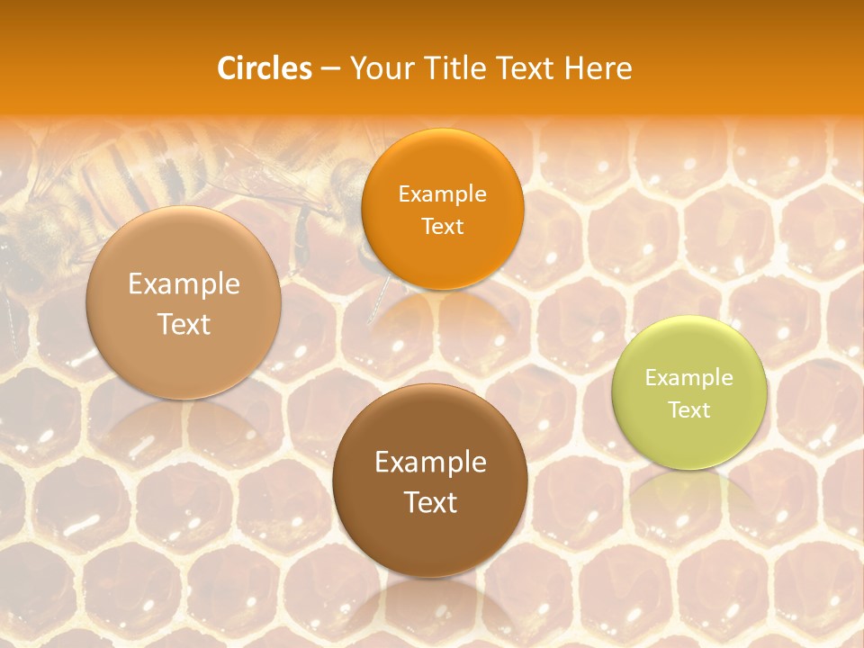 Two Bees On A Honeycomb Powerpoint Template PowerPoint Template