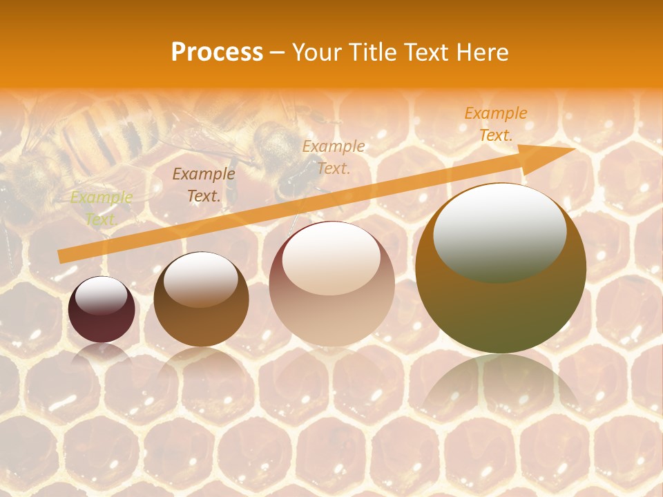 Two Bees On A Honeycomb Powerpoint Template PowerPoint Template