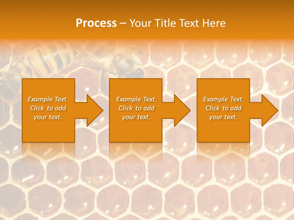 Two Bees On A Honeycomb Powerpoint Template PowerPoint Template