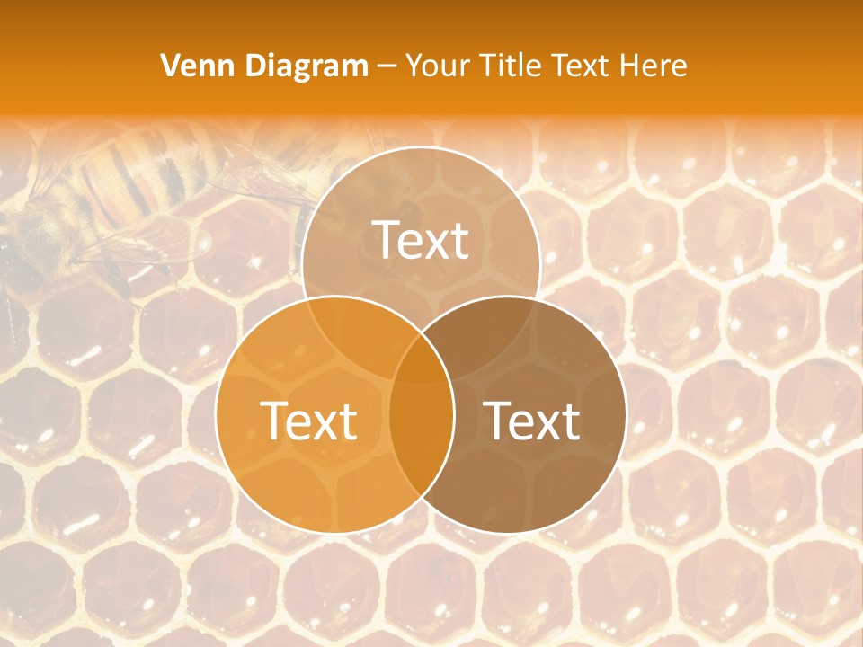 Two Bees On A Honeycomb Powerpoint Template PowerPoint Template