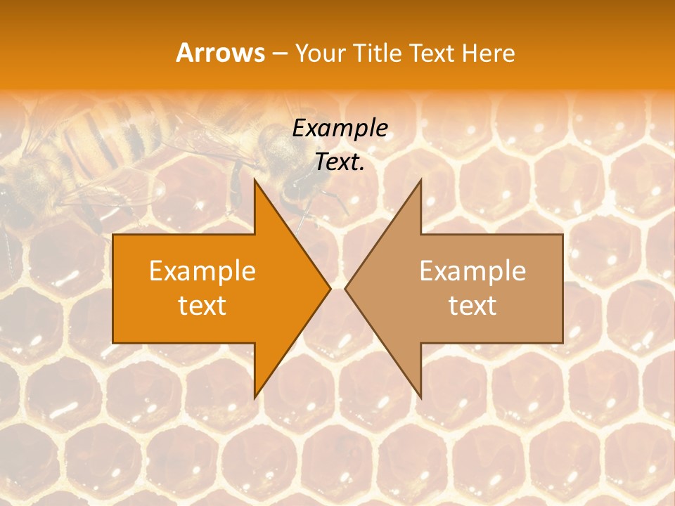 Two Bees On A Honeycomb Powerpoint Template PowerPoint Template