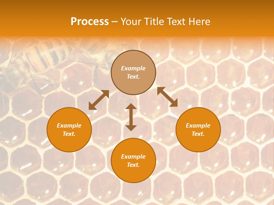 Two Bees On A Honeycomb Powerpoint Template PowerPoint Template