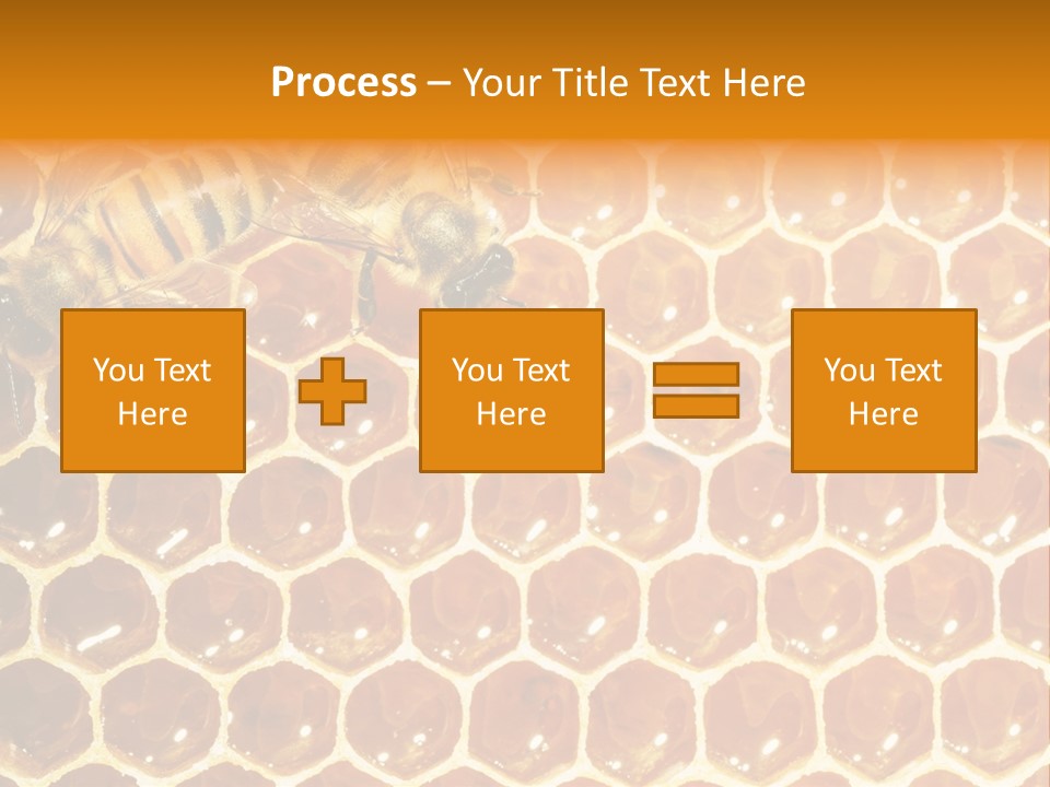 Two Bees On A Honeycomb Powerpoint Template PowerPoint Template