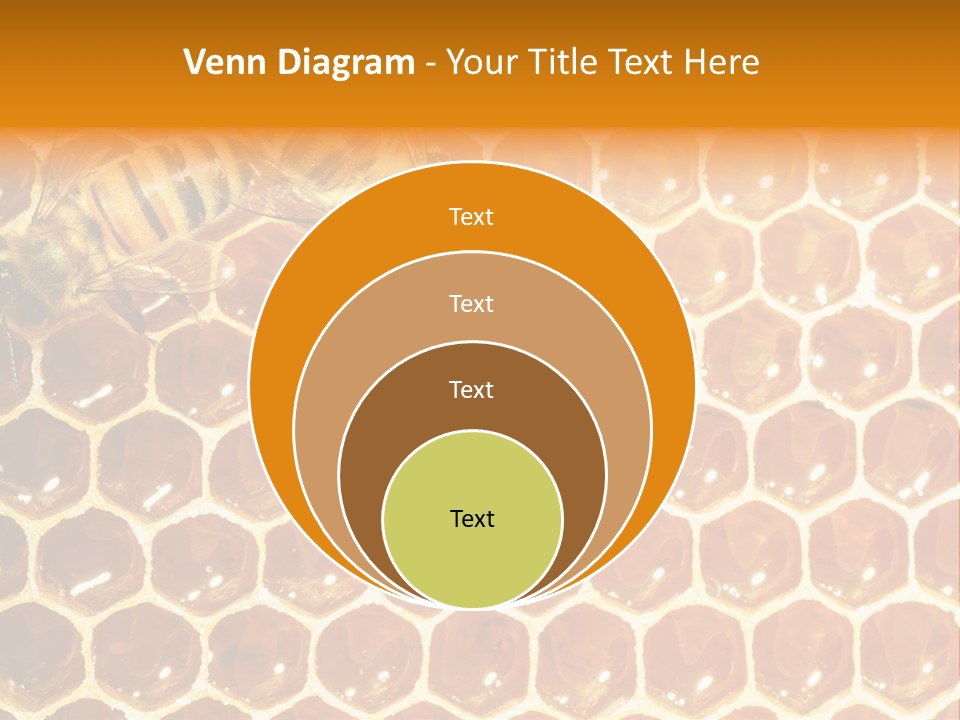 Two Bees On A Honeycomb Powerpoint Template PowerPoint Template