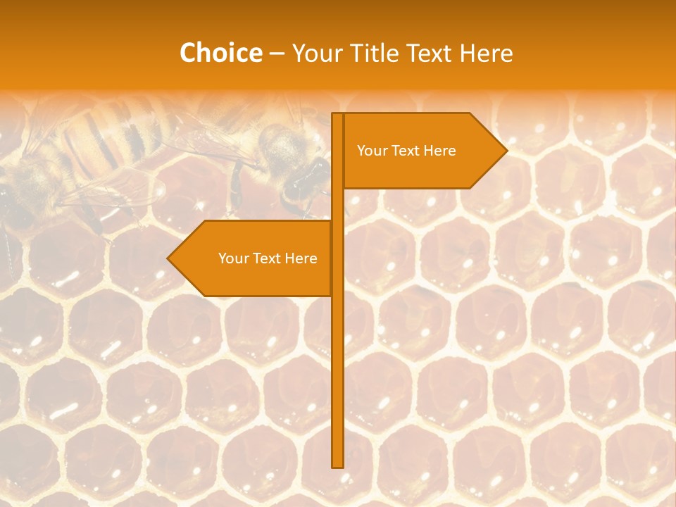 Two Bees On A Honeycomb Powerpoint Template PowerPoint Template