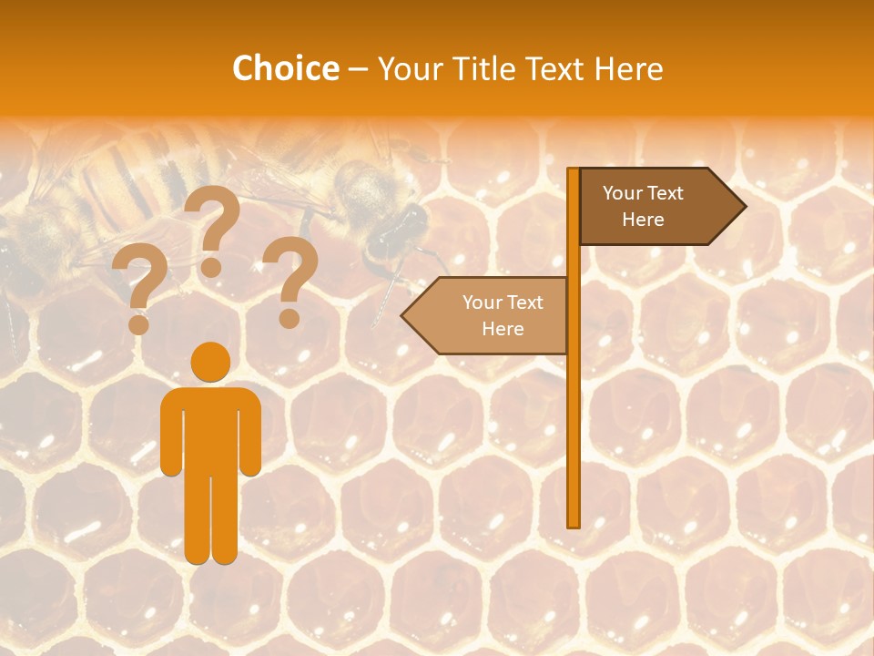 Two Bees On A Honeycomb Powerpoint Template PowerPoint Template