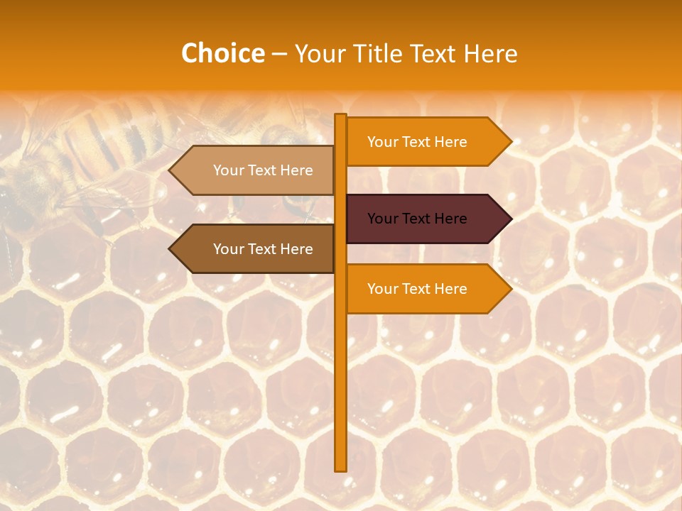 Two Bees On A Honeycomb Powerpoint Template PowerPoint Template