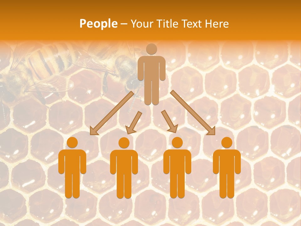 Two Bees On A Honeycomb Powerpoint Template PowerPoint Template