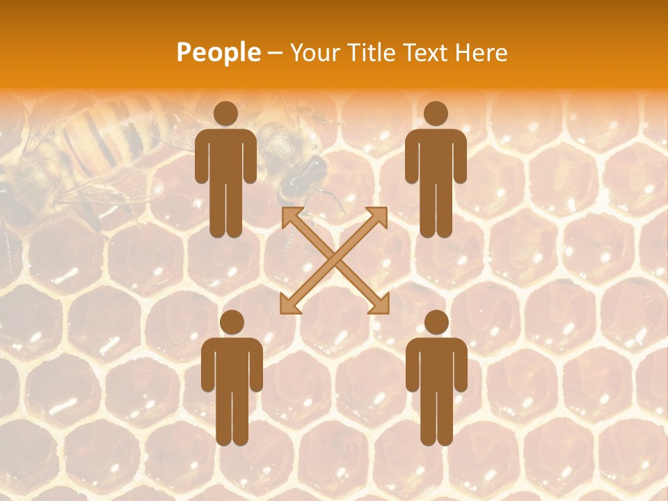 Two Bees On A Honeycomb Powerpoint Template PowerPoint Template