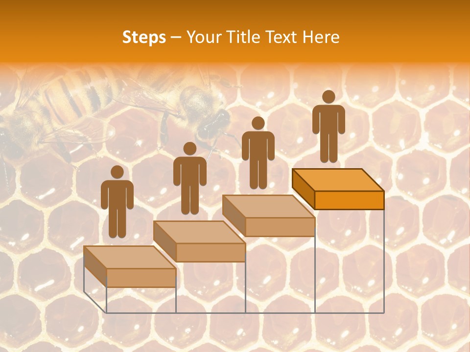 Two Bees On A Honeycomb Powerpoint Template PowerPoint Template