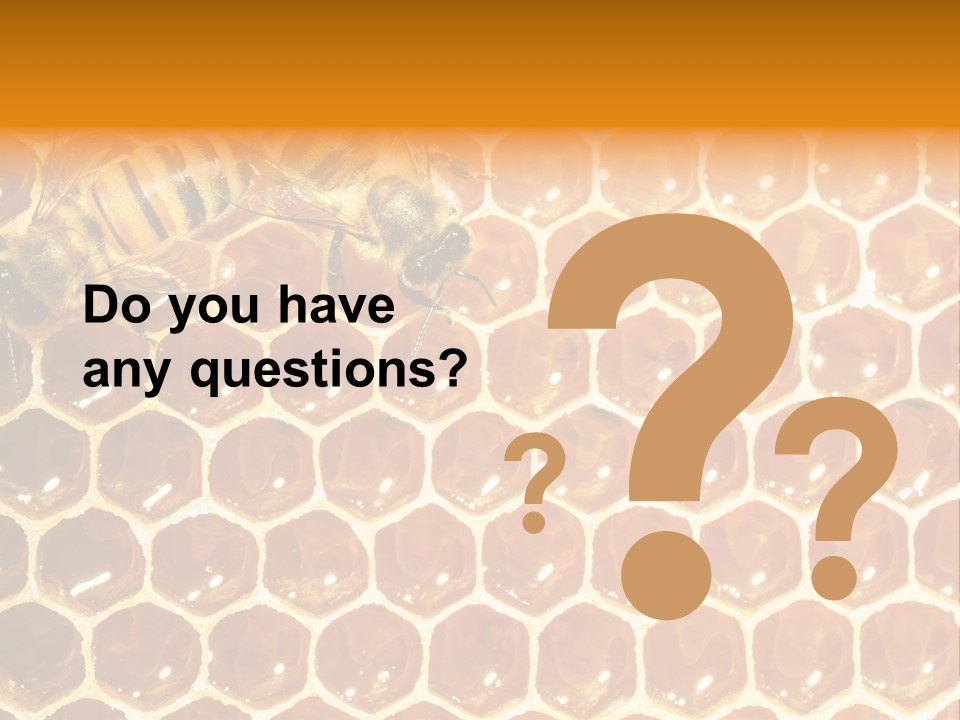 Two Bees On A Honeycomb Powerpoint Template PowerPoint Template