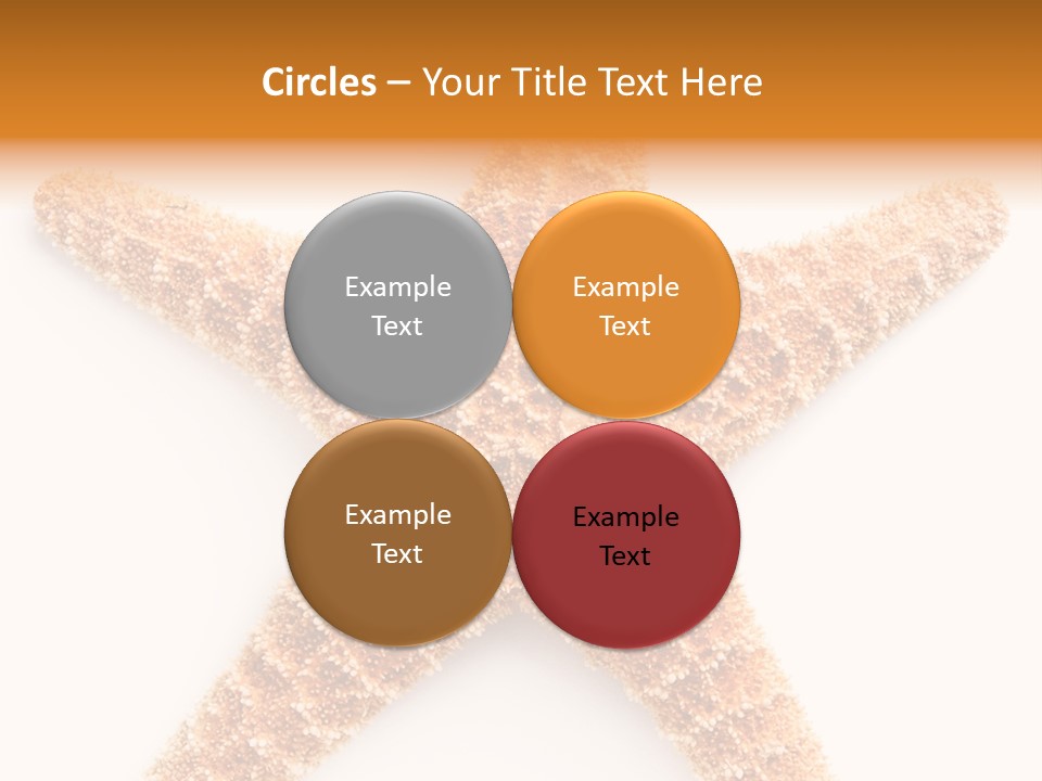 A Starfish With A White Background Is Shown PowerPoint Template