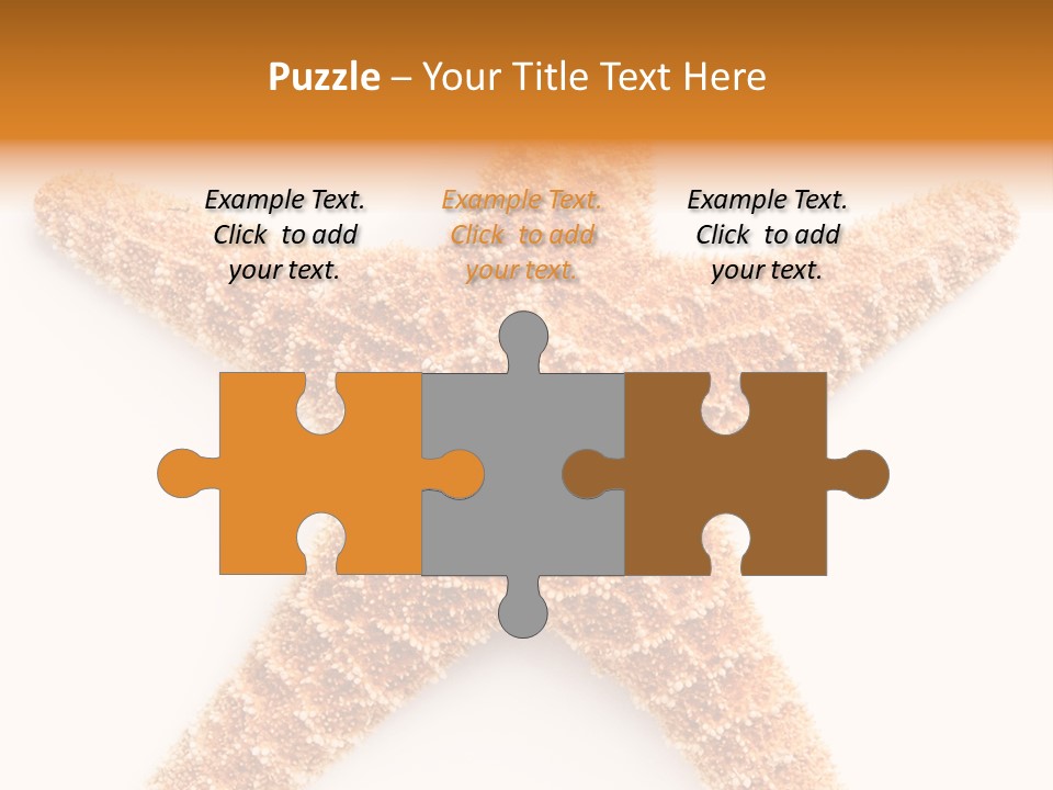 A Starfish With A White Background Is Shown PowerPoint Template