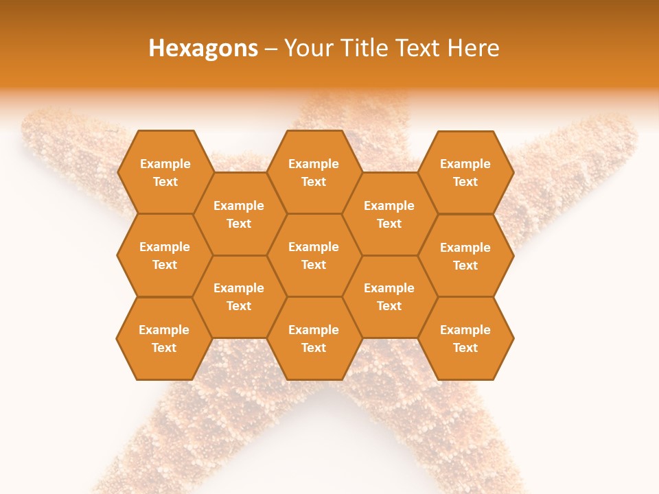 A Starfish With A White Background Is Shown PowerPoint Template