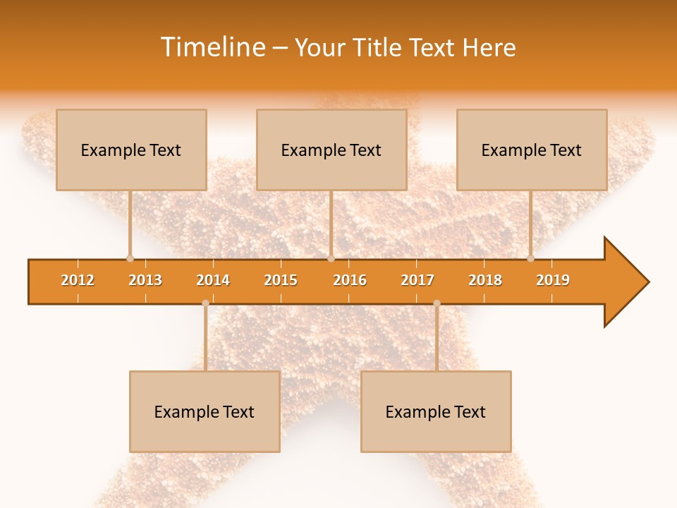 A Starfish With A White Background Is Shown PowerPoint Template