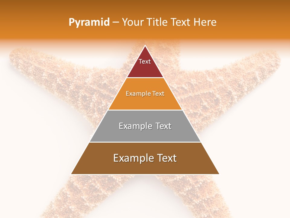 A Starfish With A White Background Is Shown PowerPoint Template