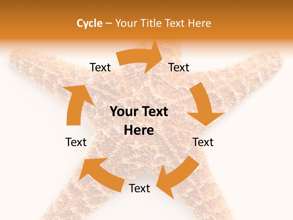 A Starfish With A White Background Is Shown PowerPoint Template