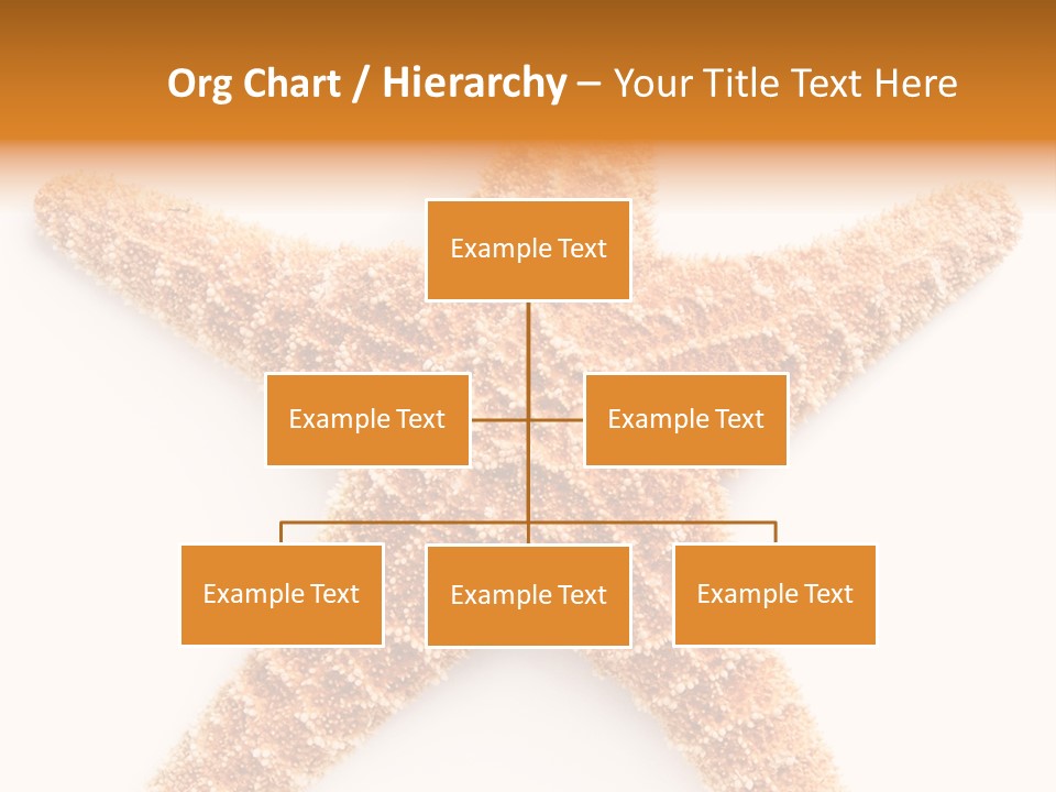 A Starfish With A White Background Is Shown PowerPoint Template