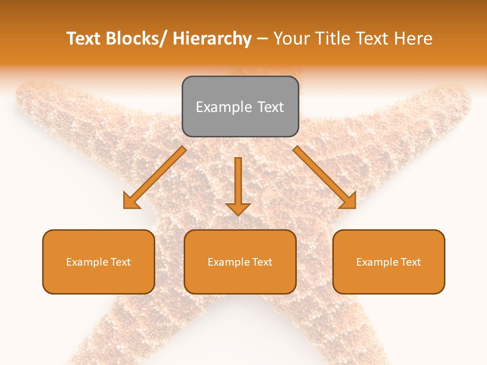 A Starfish With A White Background Is Shown PowerPoint Template