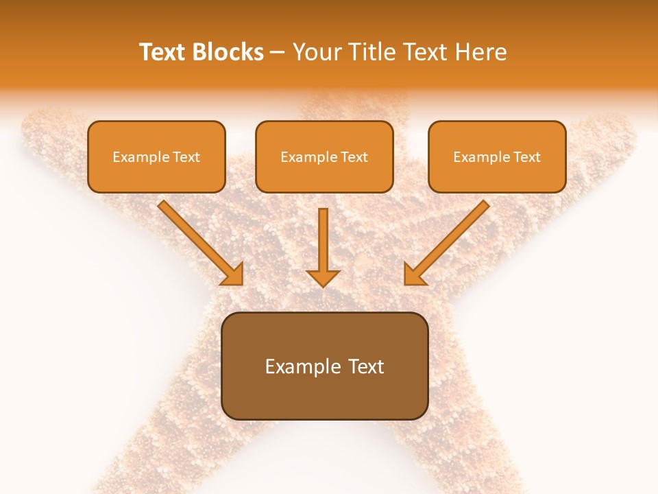 A Starfish With A White Background Is Shown PowerPoint Template
