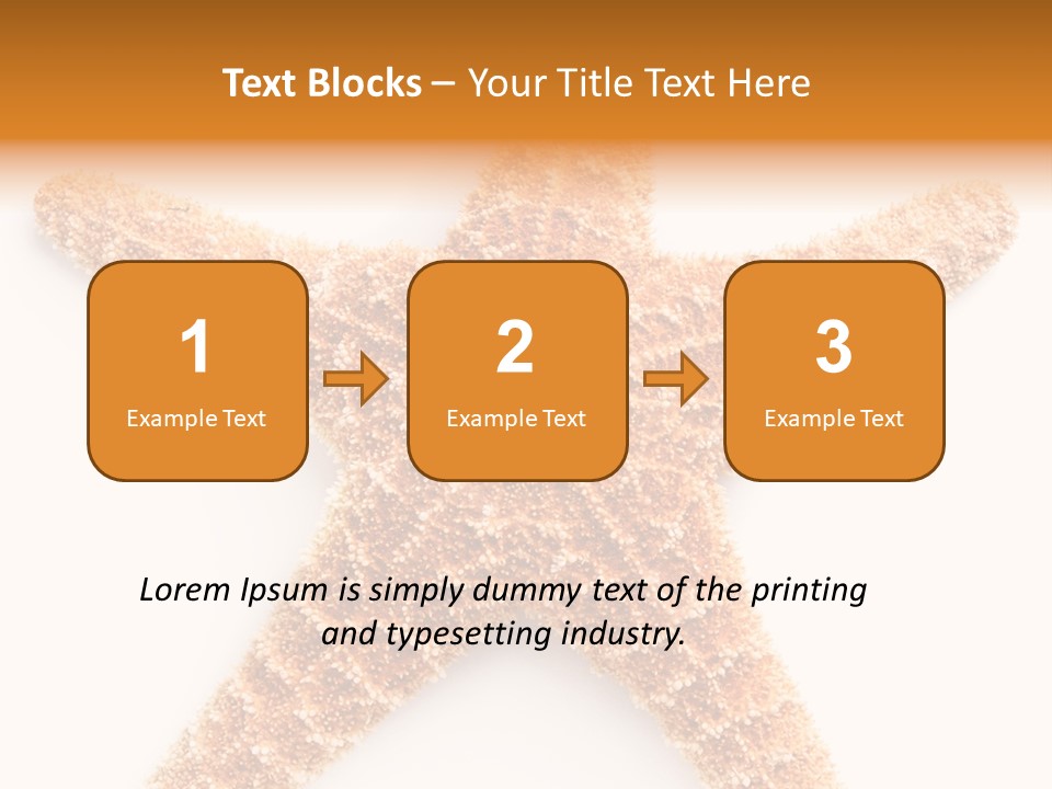 A Starfish With A White Background Is Shown PowerPoint Template