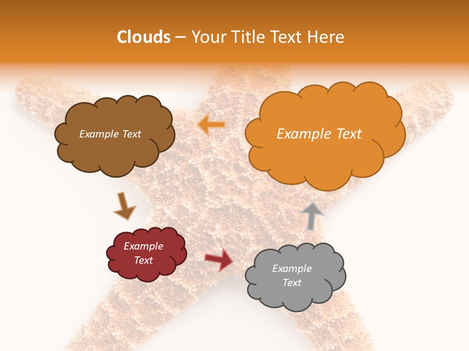 A Starfish With A White Background Is Shown PowerPoint Template