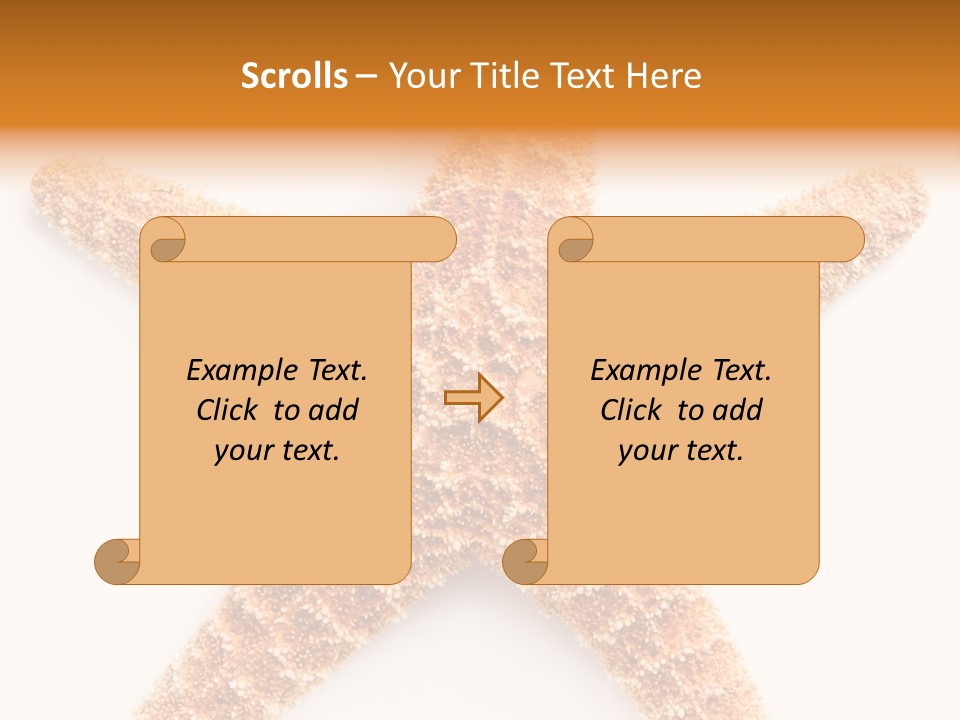 A Starfish With A White Background Is Shown PowerPoint Template
