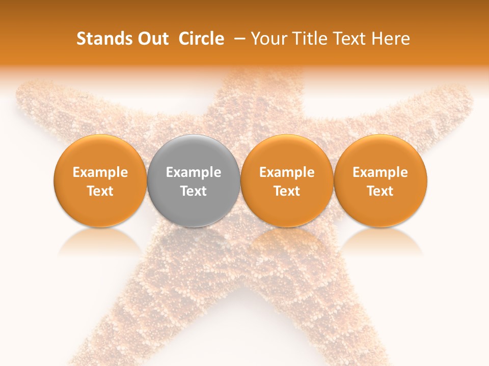 A Starfish With A White Background Is Shown PowerPoint Template