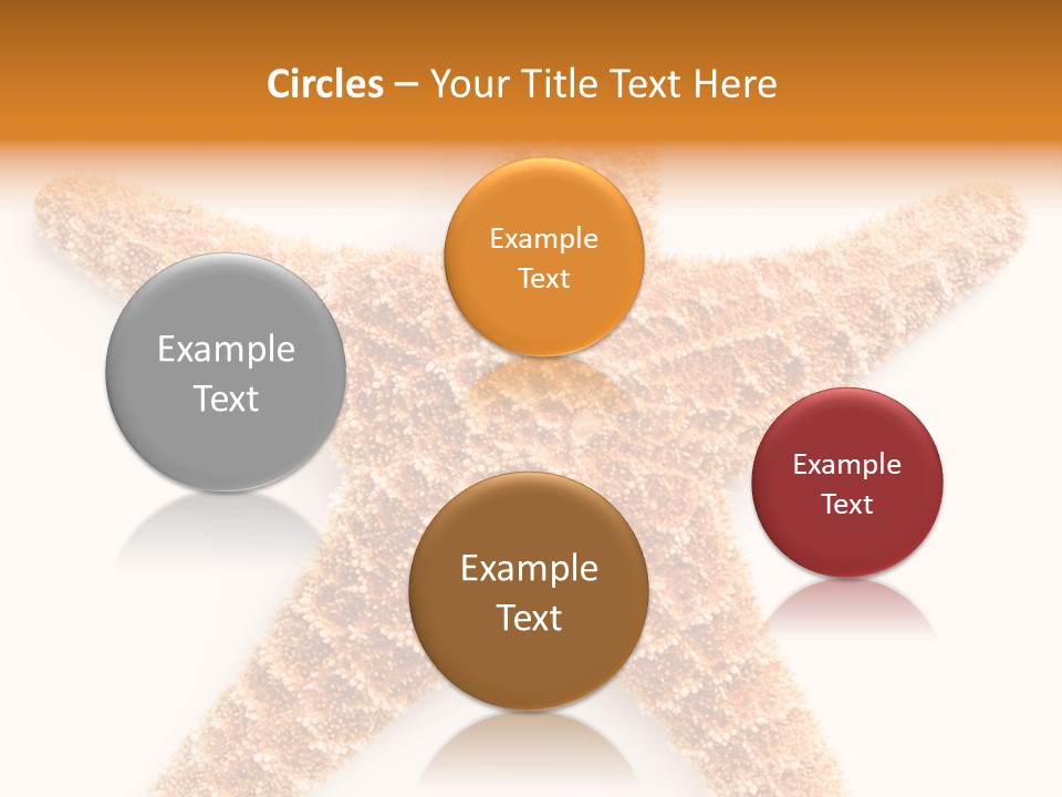 A Starfish With A White Background Is Shown PowerPoint Template