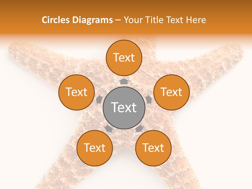 A Starfish With A White Background Is Shown PowerPoint Template
