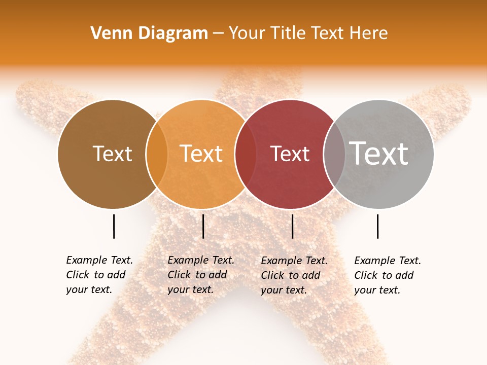 A Starfish With A White Background Is Shown PowerPoint Template