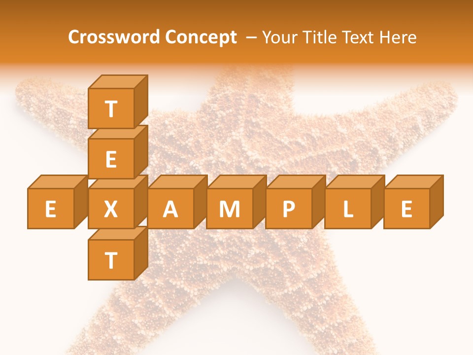 A Starfish With A White Background Is Shown PowerPoint Template