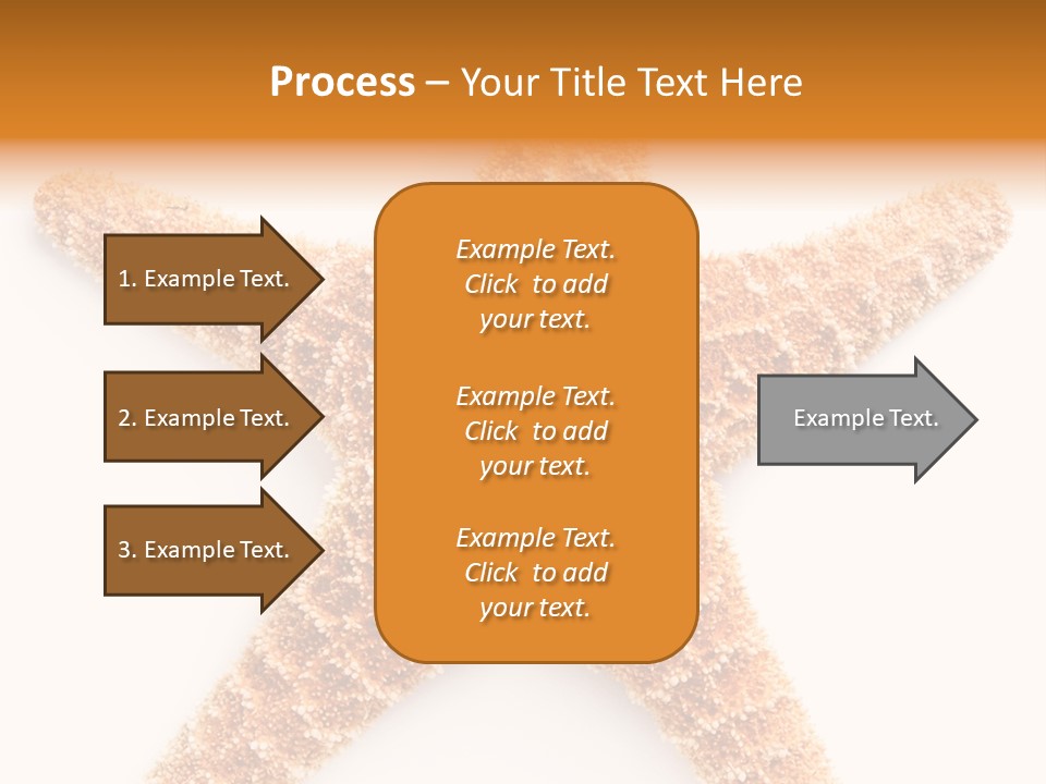 A Starfish With A White Background Is Shown PowerPoint Template