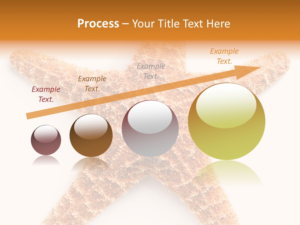 A Starfish With A White Background Is Shown PowerPoint Template