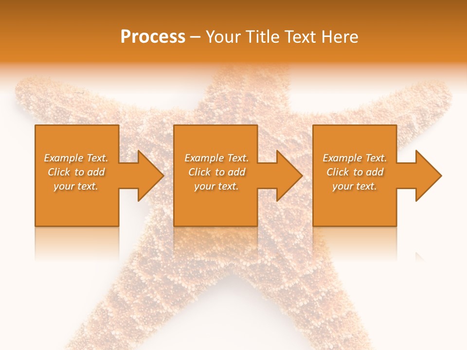 A Starfish With A White Background Is Shown PowerPoint Template