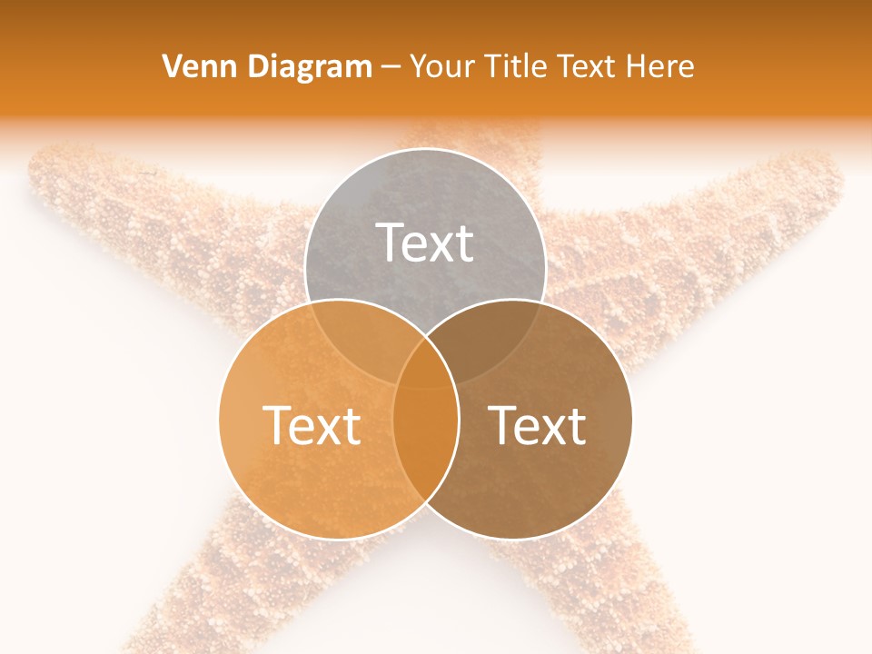 A Starfish With A White Background Is Shown PowerPoint Template
