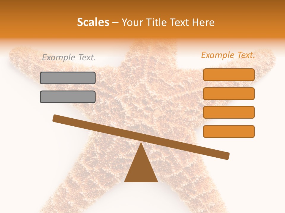 A Starfish With A White Background Is Shown PowerPoint Template