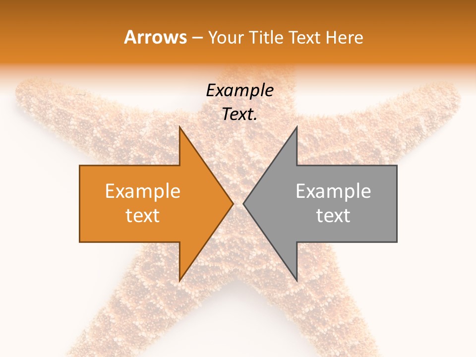 A Starfish With A White Background Is Shown PowerPoint Template