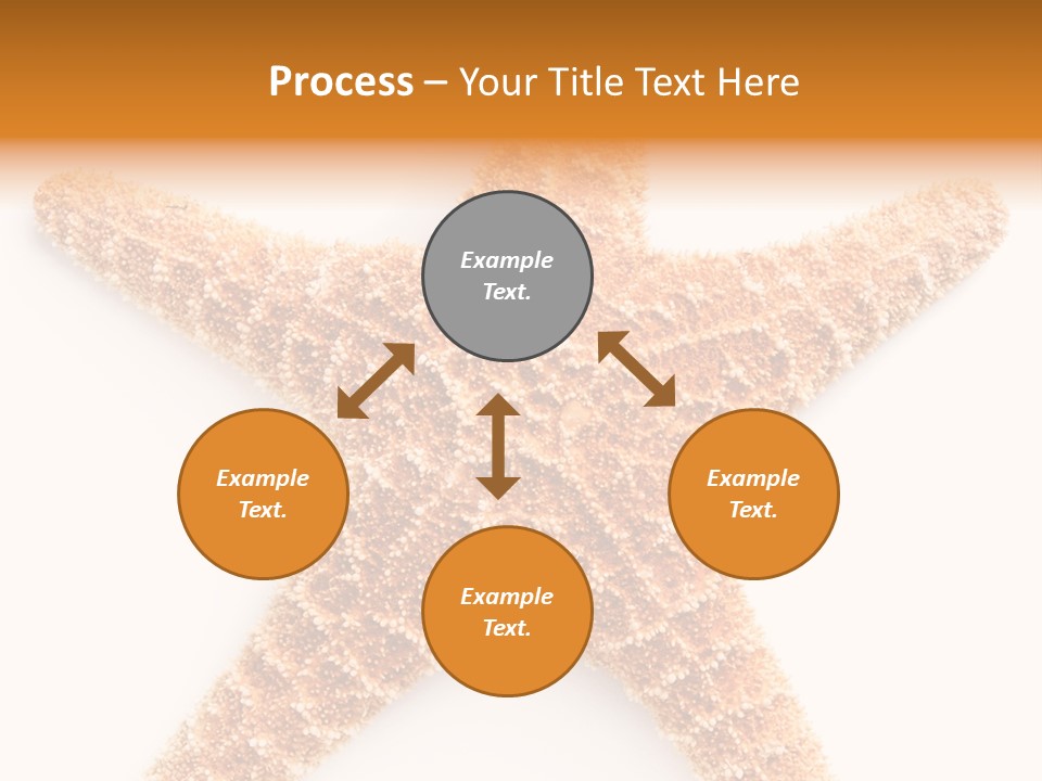 A Starfish With A White Background Is Shown PowerPoint Template