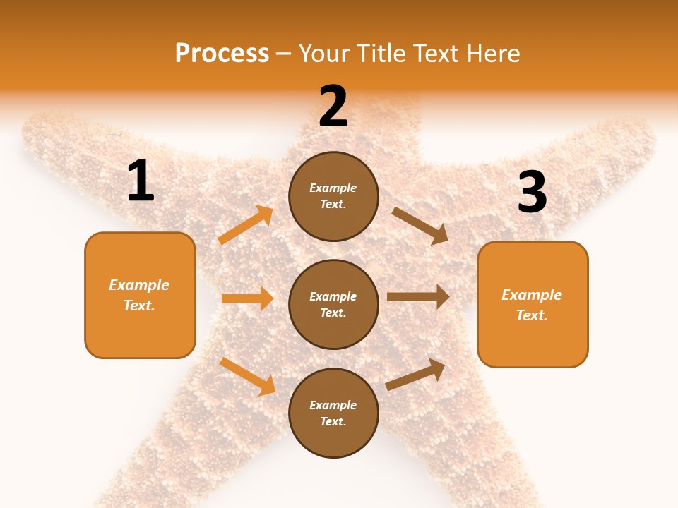 A Starfish With A White Background Is Shown PowerPoint Template