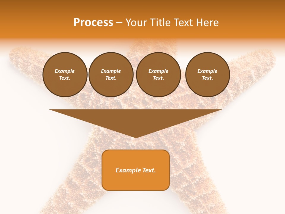 A Starfish With A White Background Is Shown PowerPoint Template